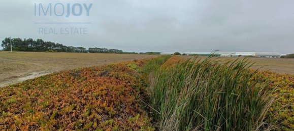 79400m² Land in Sao Teotonio, Portugal No. 52370 6