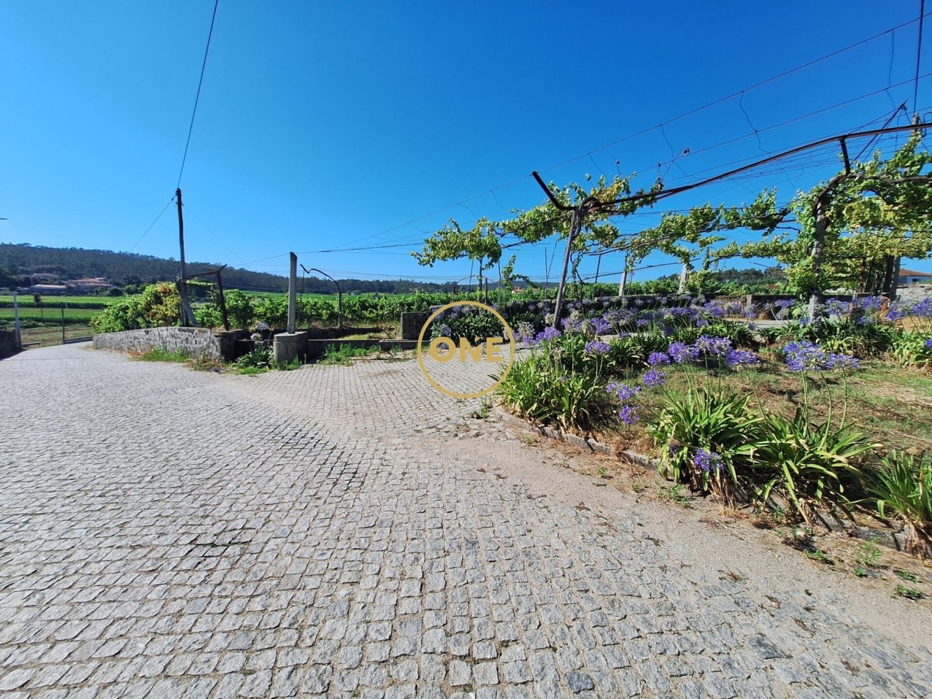 Terrain à Barcelos, Portugal 25000m² No. 225934