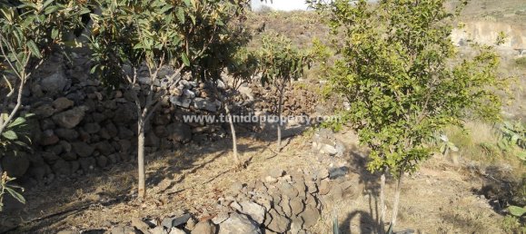 Quinta T4 em Guia de Isora, Spain N.º 730 8