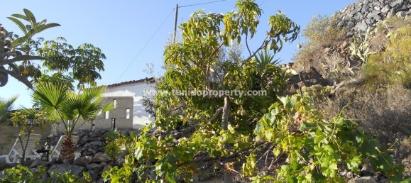 Quinta T4 em Guia de Isora, Spain N.º 730 7