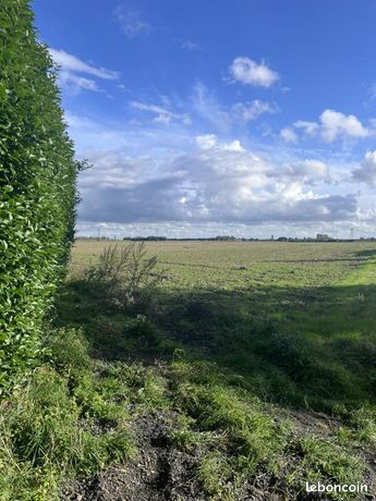 Grundstück in Provin, France 519m², Nr. 281618