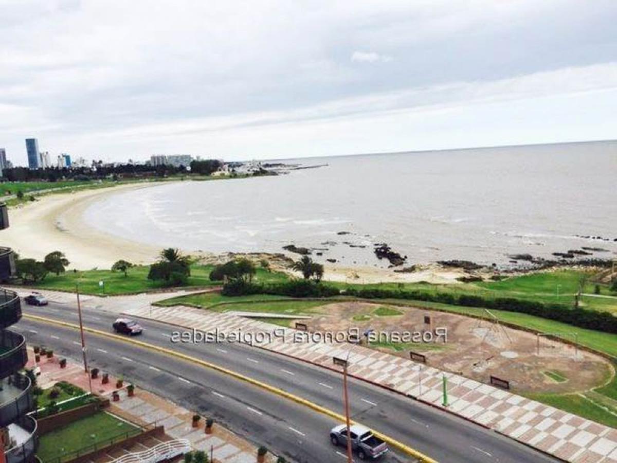 3 Schlafzimmer Wohnung in Montevideo, Uruguay, Nr. 3543