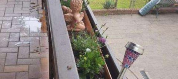 9 bedrooms Townhouse in Kusel, Germany No. 125617 12