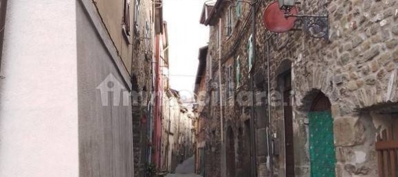 4 غرف نوم قلاع في Villafranca in Lunigiana, Italy رقم 205716 10