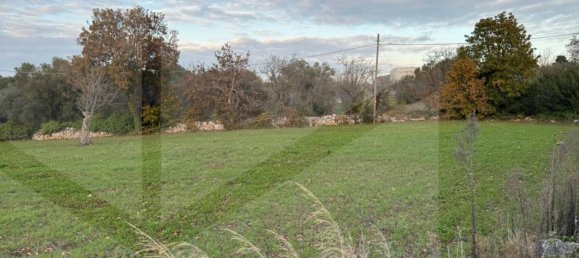 Estúdio em Monopoli, Italy N.º 20425 3