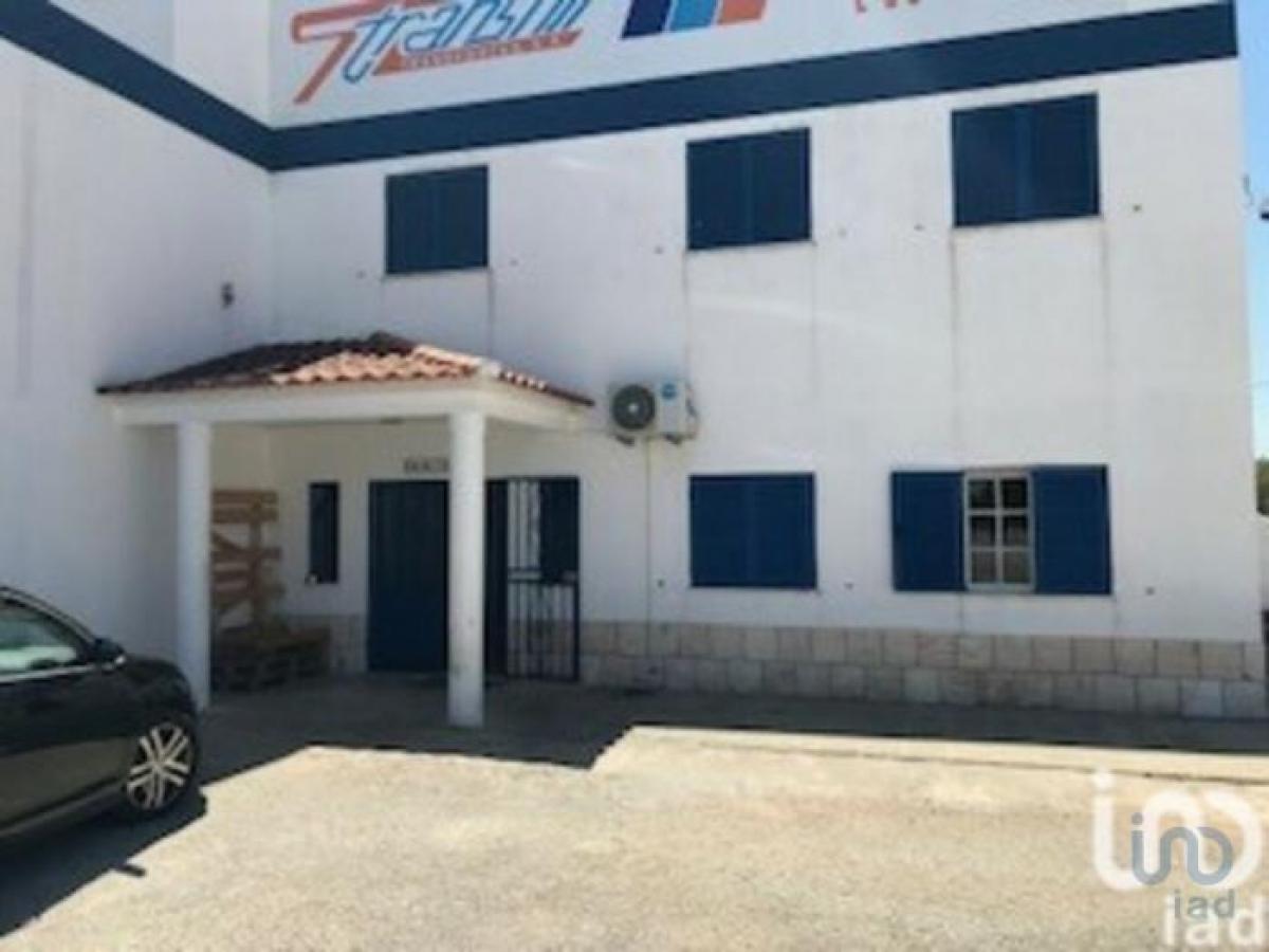  Land in Portalegre, Portugal No. 2077