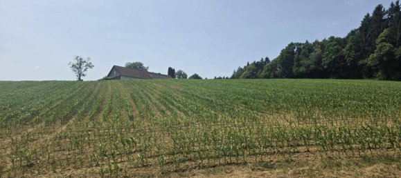  قطعة أرض في Sudoststeiermark, Austria 18967متر مربع رقم 222587 10