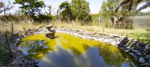 3 غرف نوم منزل في Atouguia da Baleia, Portugal رقم 140159 27