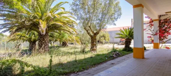 3 غرف نوم منزل في Atouguia da Baleia, Portugal رقم 140159 26