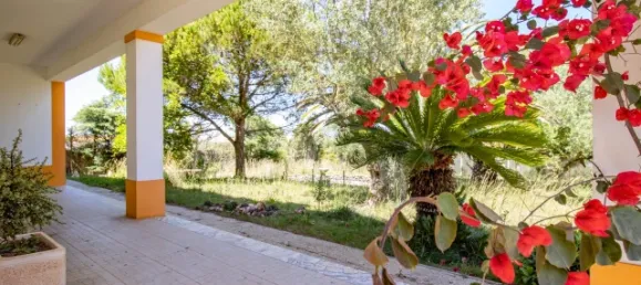 3 غرف نوم منزل في Atouguia da Baleia, Portugal رقم 140159 25