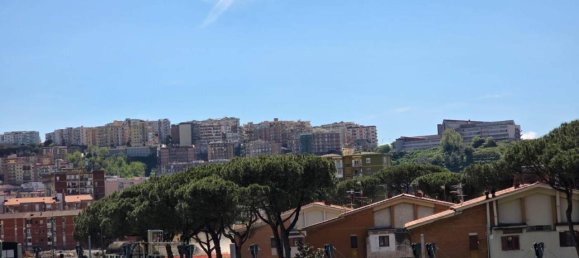 3 rooms Apartment in Naples, Italy No. 80819 27
