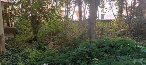 350m² Building in Piombino, Italy No. 46423 3