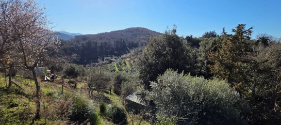 4غرفة فيلا في San Gregorio da Sassola, Italy رقم 107196 45