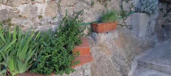 Casa de 2 dormitorios en Campo nell'Elba, Italy No. 278313 33