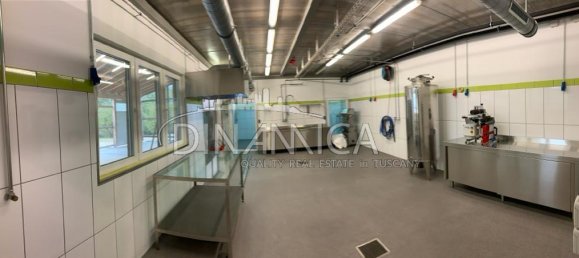 682599m² Land in Pomarance, Italy No. 224865 31