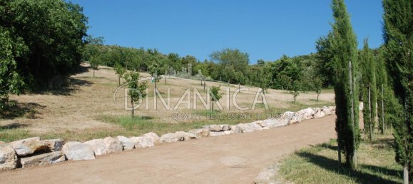 682599m² Land in Pomarance, Italy No. 224865 10