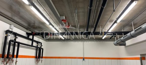 682599m² Land in Pomarance, Italy No. 224865 33