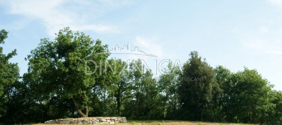 682599m² Land in Pomarance, Italy No. 224865 21