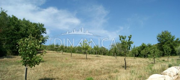 682599m² Land in Pomarance, Italy No. 224865 18