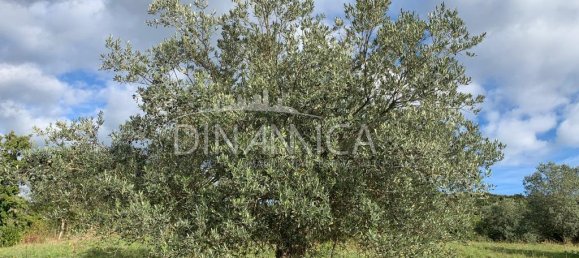 682599m² Land in Pomarance, Italy No. 224865 29