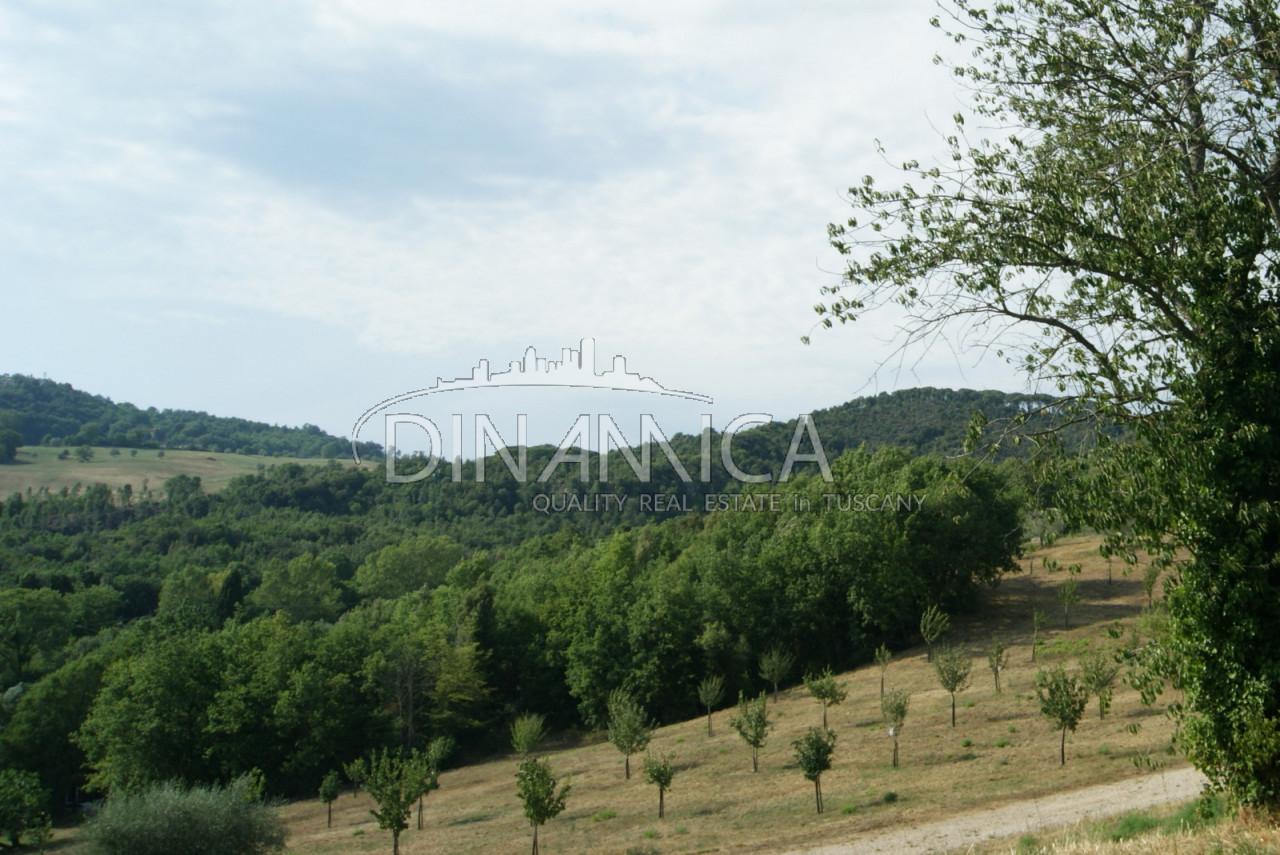 682599m² Land in Pomarance, Italy No. 224865