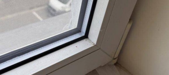 Estudio en Ottakring, Austria No. 240467 7