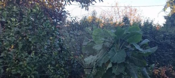 3 bedrooms House in Alijo, Portugal No. 184319 5