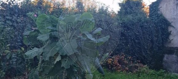 3 bedrooms House in Alijo, Portugal No. 184319 4