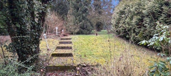 2 chambres Propriété commerciale à Trier, Germany No. 234113 29