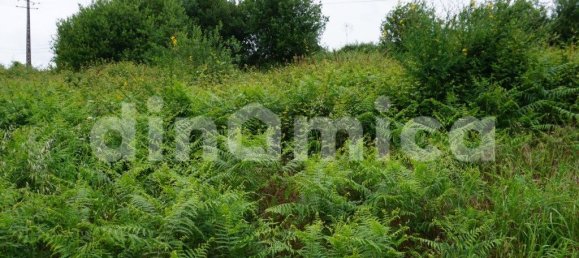 Земельный участок 6500м² в Вила Нова ди Фамаликан, Португалия № 32420 4