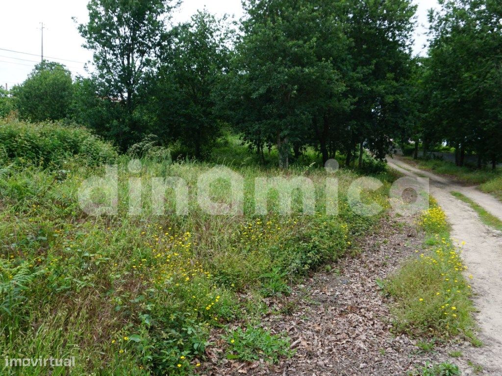 Земельный участок 6500м² в Вила Нова ди Фамаликан, Португалия № 32420