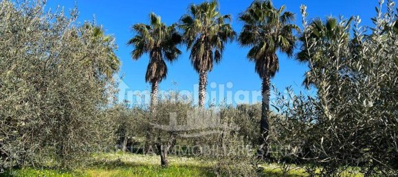 Villa T3 em Alghero, Italy N.º 325989 9