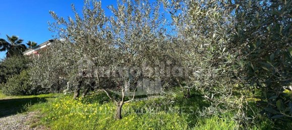 Villa T3 em Alghero, Italy N.º 325989 5