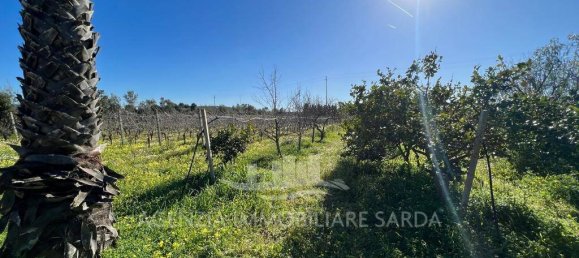 Villa T3 em Alghero, Italy N.º 325989 8