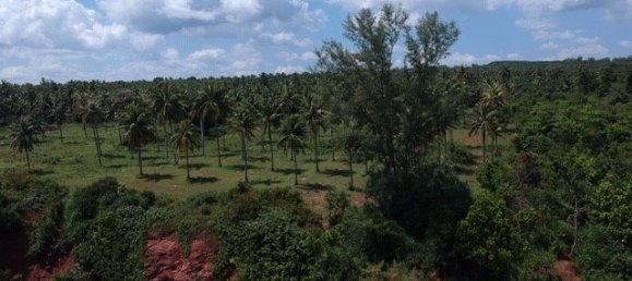  Commercial property in Hua Hin, Thailand No. 6240 11