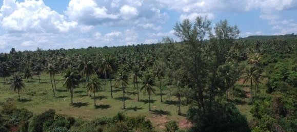  Commercial property in Hua Hin, Thailand No. 6240 9