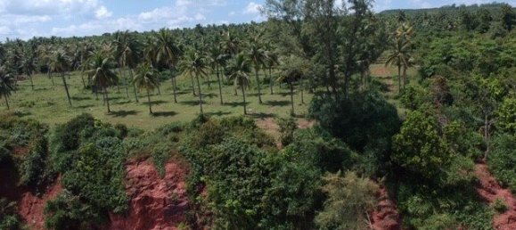  Commercial property in Hua Hin, Thailand No. 6240 3