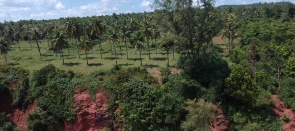  Commercial property in Hua Hin, Thailand No. 6240 7