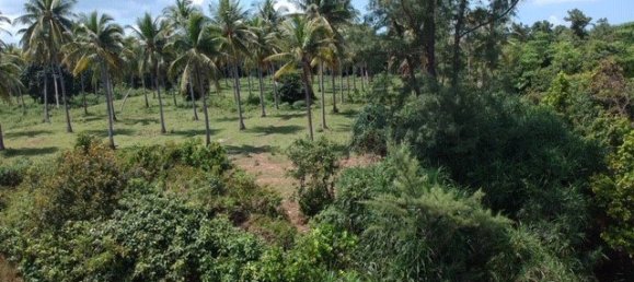  Commercial property in Hua Hin, Thailand No. 6240 4