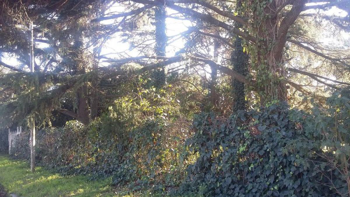 Grundstück in San Miguel, Argentina, Nr. 116760