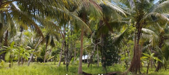  Commercial property in Surat Thani, Thailand No. 24807 6