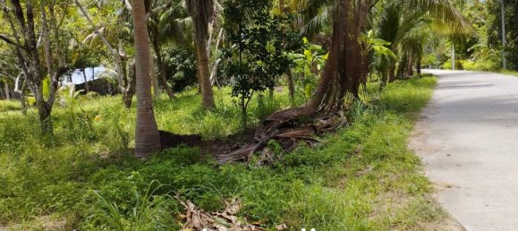  Commercial property in Surat Thani, Thailand No. 24807 7