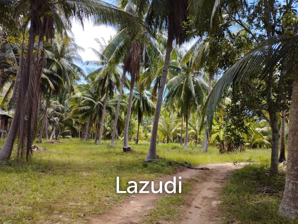  Commercial property in Surat Thani, Thailand No. 24807