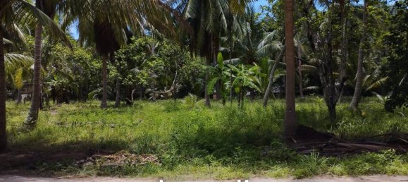  Commercial property in Surat Thani, Thailand No. 24807 9