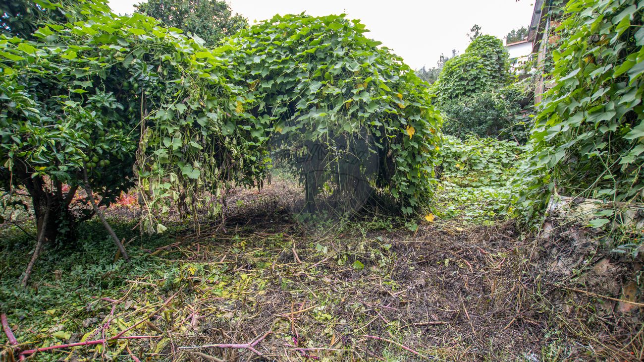 3 bedrooms House in Tondela, Portugal No. 24450