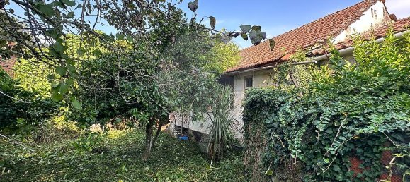 3 bedrooms House in Tondela, Portugal No. 24450 9