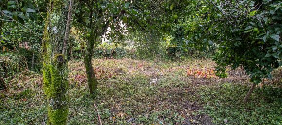 3 bedrooms House in Tondela, Portugal No. 24450 11