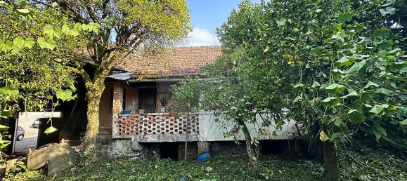 3 bedrooms House in Tondela, Portugal No. 24450 10