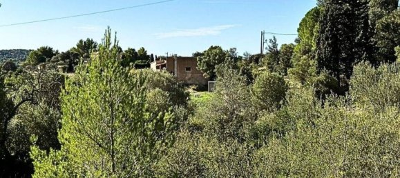 Terreno en Mallorca, Spain No. 155086 4