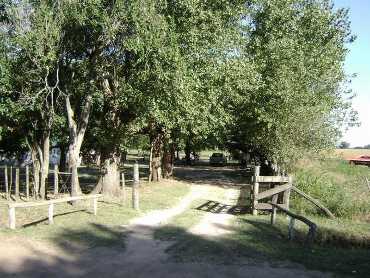  Farm in San Andres de Giles, Argentina No. 39919